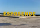 Ontdek Porto en Noord-Portugal vanuit Esposende foto 8