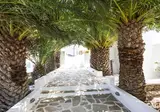 Naxos Holidays Hotel foto 22