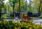 Vakantiepark De Rimboe en De Woeste Hoogte foto 33