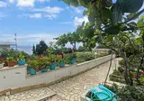 Andromaches Holiday Apartments foto 30
