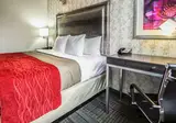 Comfort Inn Manhattan - Midtown West foto 6