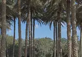 Anantara Sir Bani Yas Island Al Yamm Villa Resort foto 3