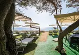Marenea Suite Hotel foto 12