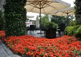 First Hotel Milan Malpensa Airport foto 18