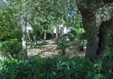 Tenuta Belvedere foto 8