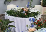 Verdi foto 9