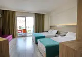 Hotel Palmea foto 19