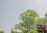 Domaine Des Ormes foto 26