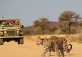 Explore Impressive Namibia foto 5
