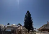 Zephir Hotel & Spa foto 12