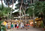 Camping hu Park Albatros Village foto 15