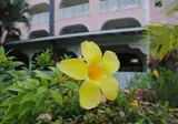 Sunbay Hotel foto 6