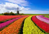 Nederland in bloei foto 1