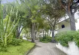 Hotel Villaggio Pineta Petto Bianco foto 6