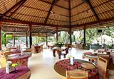 Nandini Jungle by Hanging Gardens foto 3