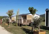 Camping La Roudelière foto 11