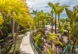 Pestana Royal All Inclusive Ocean & Spa Resort foto 19