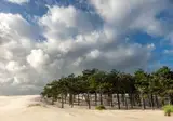 Vakantiepark Schoorlse Duinen foto 8