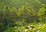 A Balinese Escape foto 6