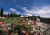 Fonteverde Tuscan Resort & Spa foto 7