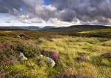 Ontdek Ierland in 8 dagen foto 8