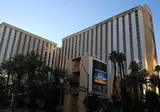 Hotel Golden Nugget Las Vegas foto 20