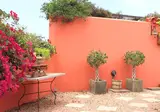 Finca La Parra foto 18