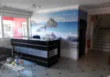 Valena Studios foto 12