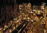 Kerst tussen de Elzas en Zwitserland, Mulhouse foto 20