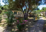 Arena Stupice Campsite foto 12