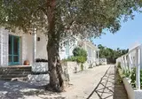 Marenea Suite Hotel foto 8