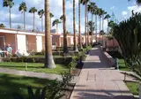 Los Girasoles foto 23