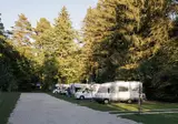Forest Camping Mozirje foto 12