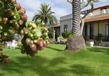 Villa Rosalva foto 9