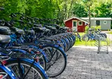 Het Amsterdamse Bos foto 4