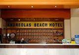 Andreolas Beach Hotel foto 23