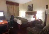 Best Western Jamaica Inn foto 20