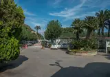 Le Palme Village foto 30
