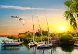 Nijlcruise 5* & Sunrise Tucana Resort 5* foto 8