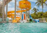 Fly & Go Mangrove Beach Corendon, Curio by Hilton foto 52