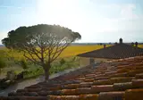 Le Terre dei Cavalieri Agriturismo foto 2