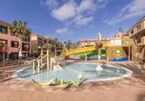 O7 Aloe Corralejo foto 13