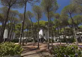 Hotel Mare Pineta foto 19