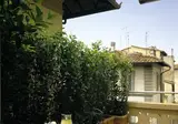 Hotel Palazzo Ognissanti foto 6