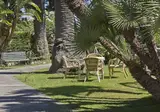 Eden foto 29