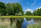 Het Amsterdamse Bos foto 24