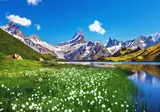 De mooiste Alpentoppen van Zwitserland, Meiringen foto 1