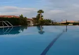 Melidron foto 3