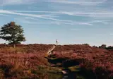 Fietsvakantie rondje Drenthe foto 12