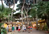 Camping hu Park Albatros Village foto 15